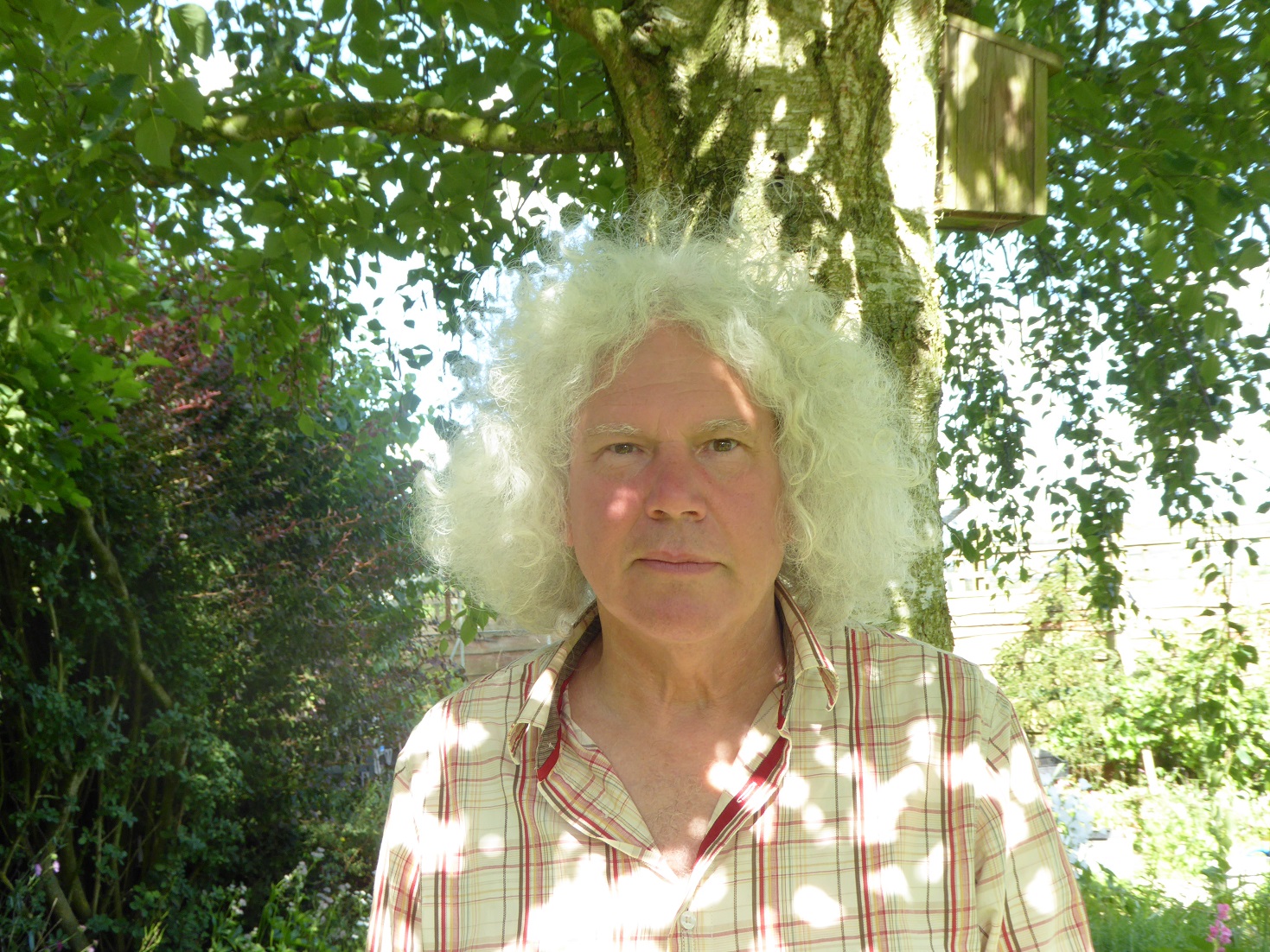 We Evolve Launch Week - Past Life Regression Session (online)