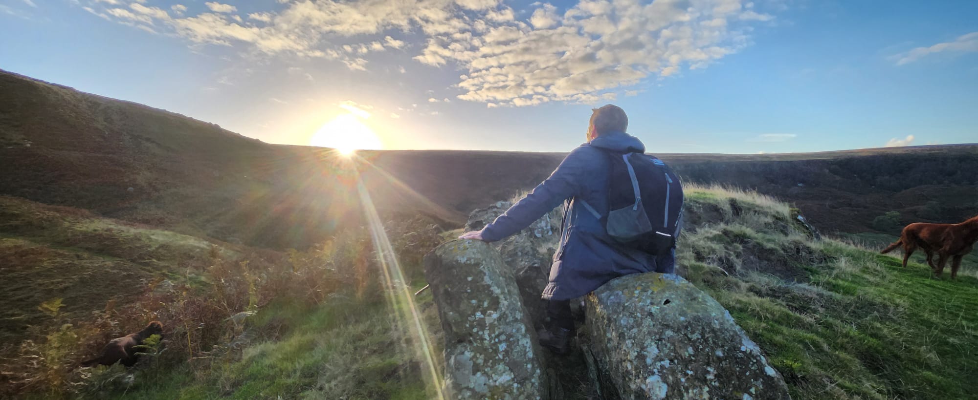 We Evolve Launch Week - Meditation 5 Day Series
